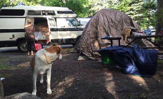 Daniel S.'s photo of rv camping at Pine Acres Resort near Temple, NH