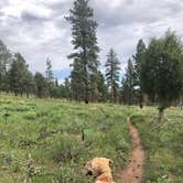 Review photo of Skull Creek by Erin T., June 6, 2020
