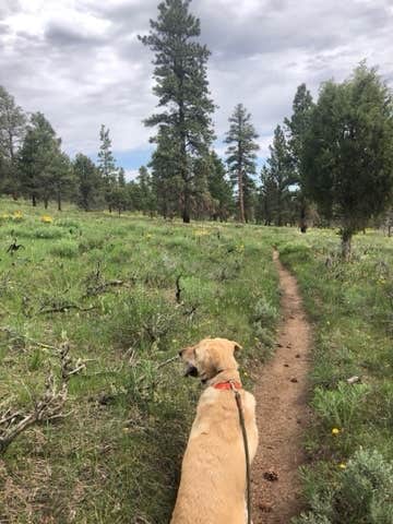 Camper submitted image from Skull Creek - 2