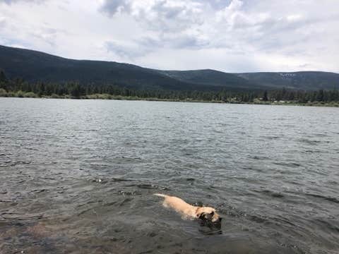 Erin T.'s photo of camping with pets at Cedar Springs Campground near Ashley National Forest