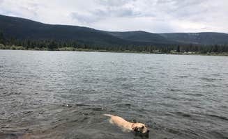 Erin T.'s photo of camping with pets at Cedar Springs Campground near Ashley National Forest