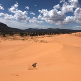 Review photo of Coral Pink Sand Dunes State Park Campground by Erin T., June 7, 2020