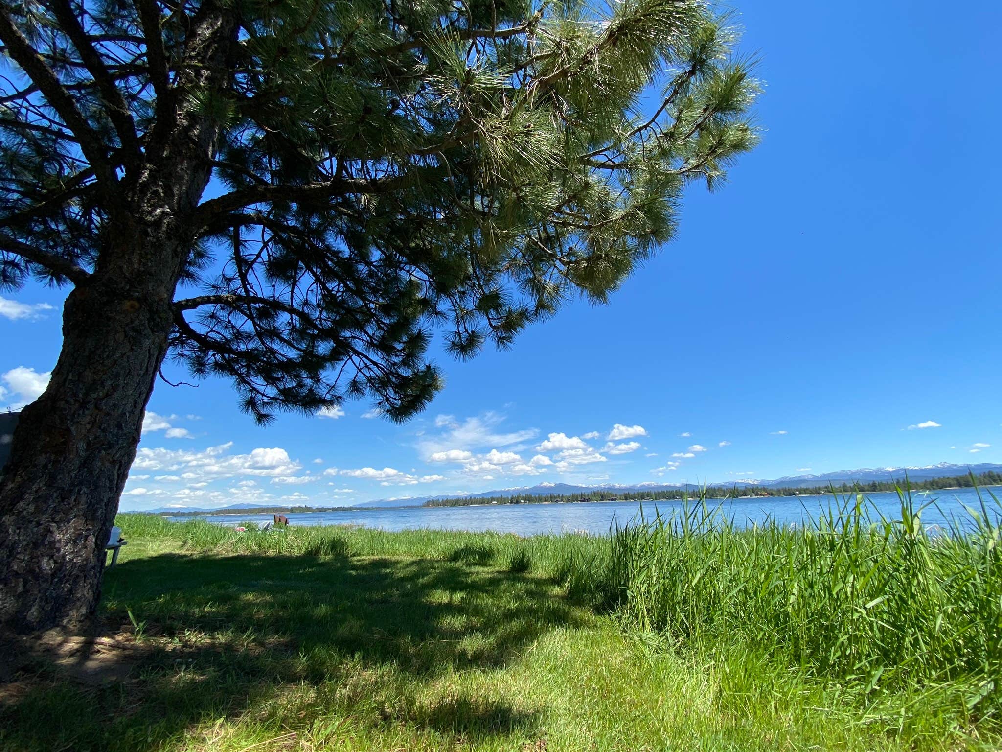 Camper submitted image from Buttercup Campground — Lake Cascade State Park - 2