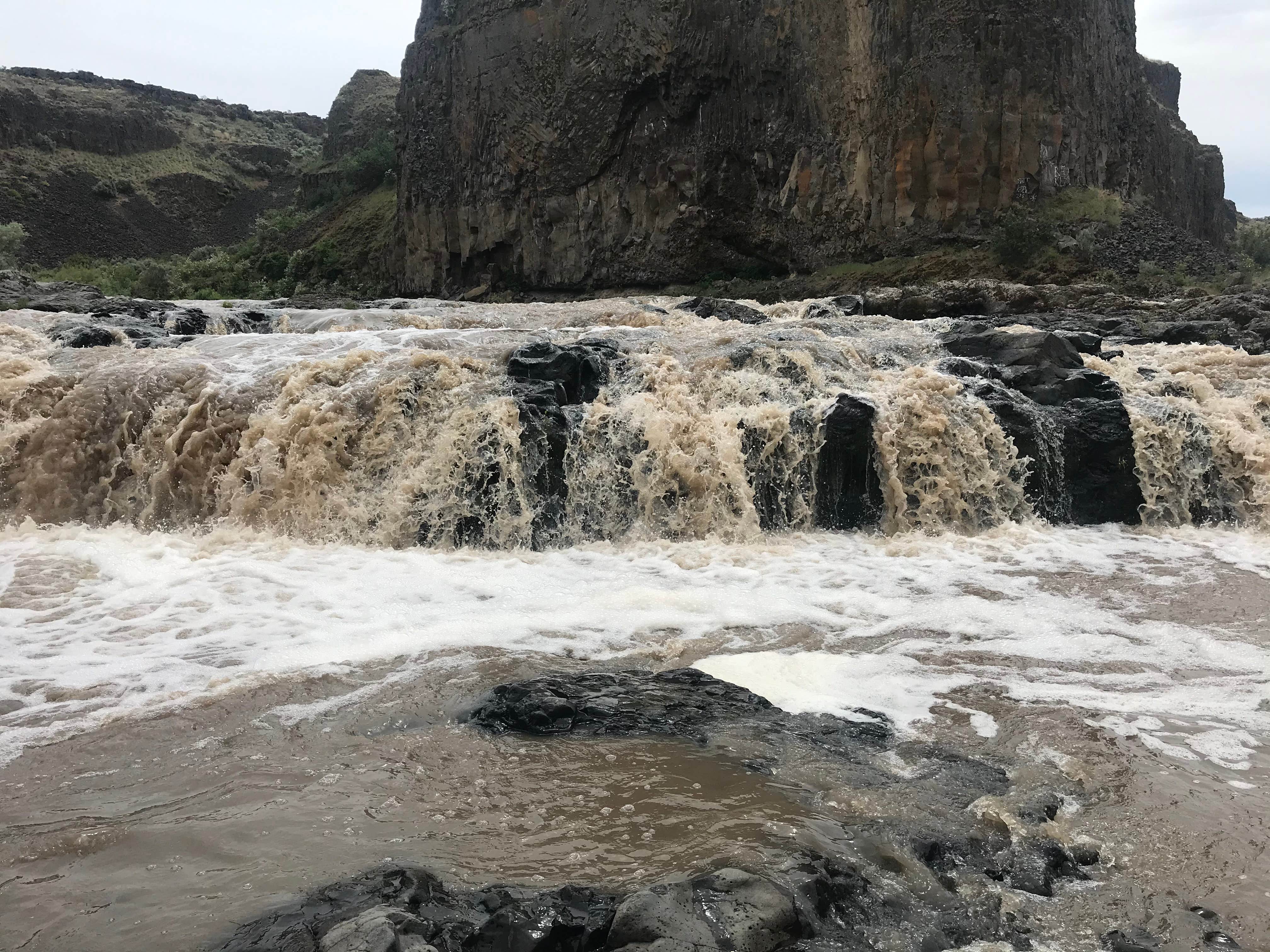 Camping near Texas Rapids - Snake River: Starbuck-Lyons Ferry Marina KOA, Hooper, Washington