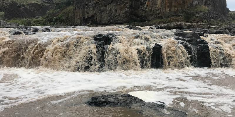 Camper submitted image from Starbuck-Lyons Ferry Marina KOA