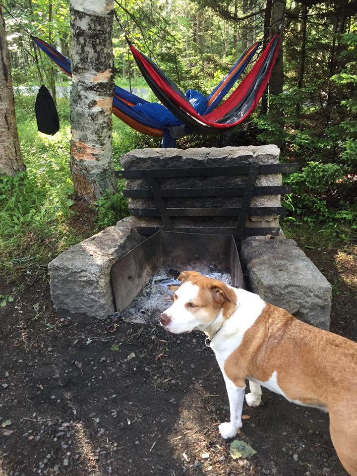 Camper submitted image from Pine Acres Resort - 2