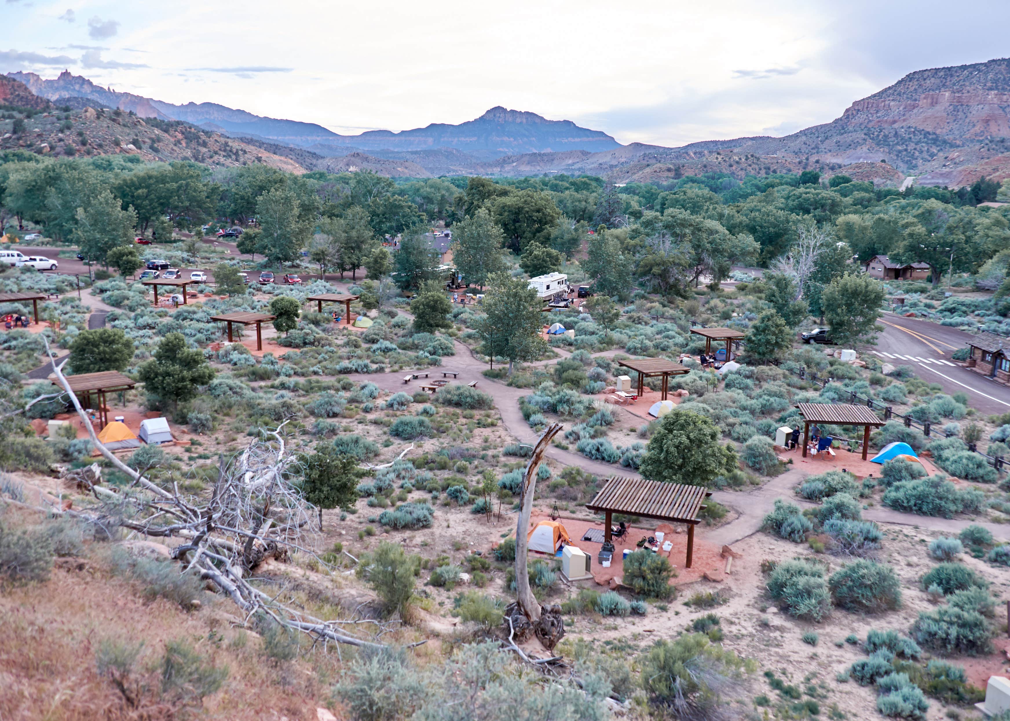 Watchman Campground/ Zion Camping The Dyrt