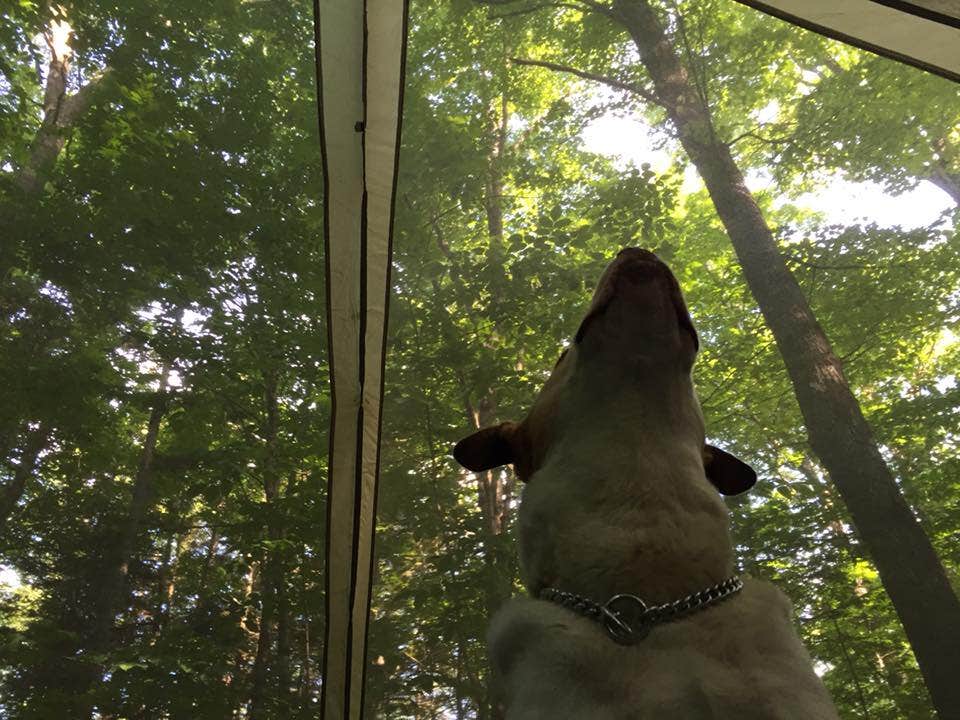 Camper-submitted photo at Two Lakes Camping near Greenwood, ME