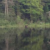 Review photo of Two Lakes Camping by Daniel S., October 14, 2017