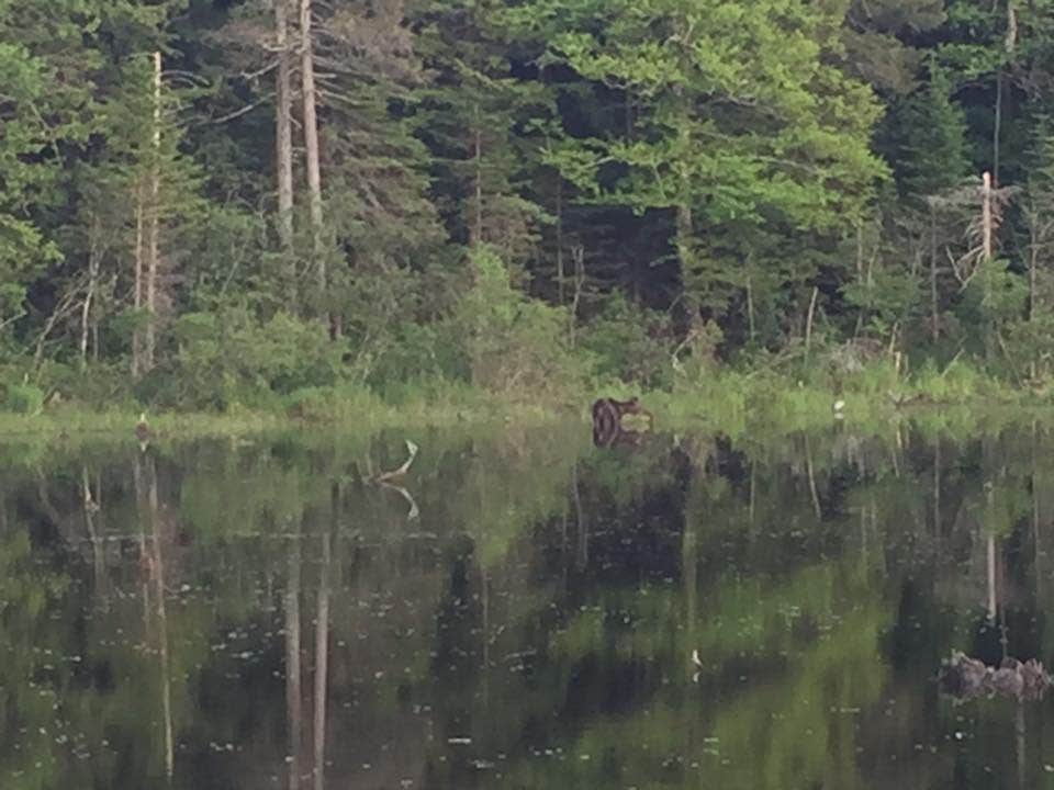 Camper submitted image from Two Lakes Camping - 3