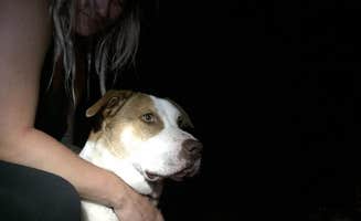 Daniel S.'s photo of camping with pets at Two Lakes Camping near Casco, ME