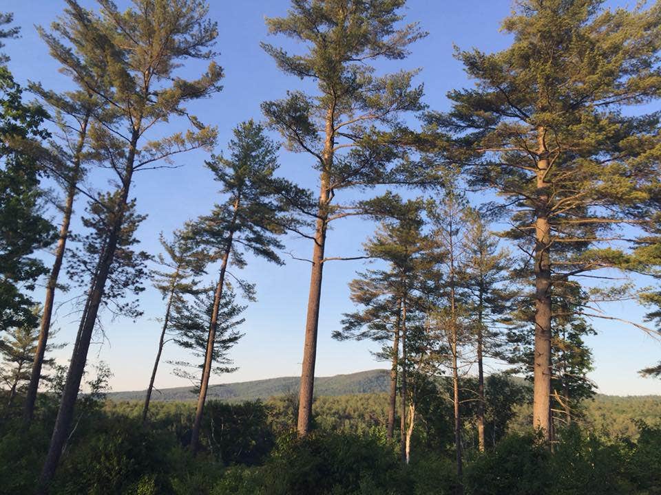 Camper-submitted photo at Two Lakes Camping near Greenwood, ME