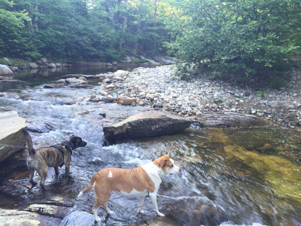 Camper-submitted photo at Two Lakes Camping near Greenwood, ME