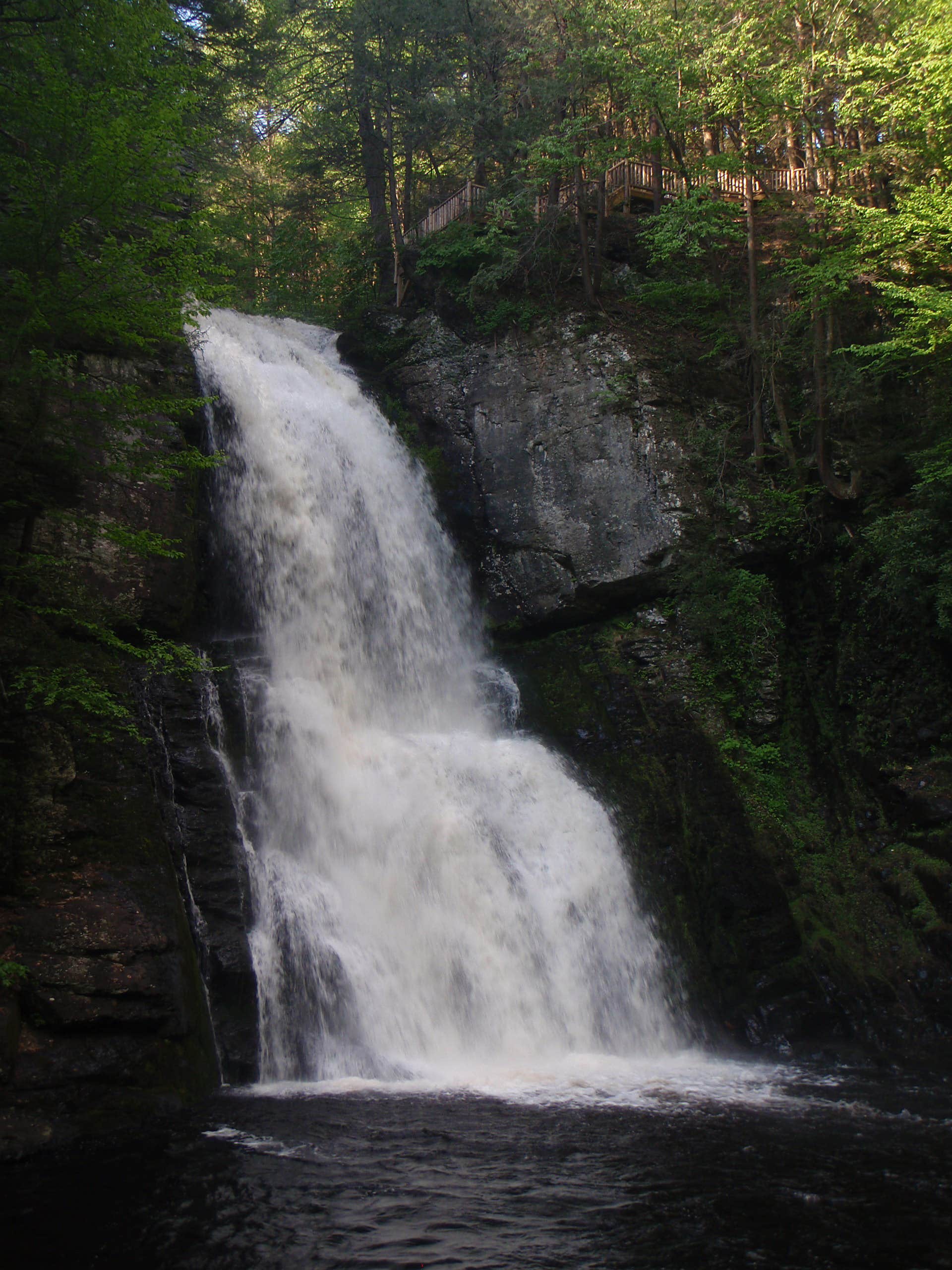 Camper submitted image from Hickory Run State Park Campground - 4