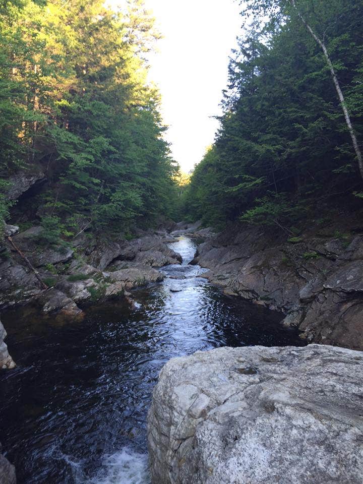 Camper submitted image from Two Lakes Camping - 5