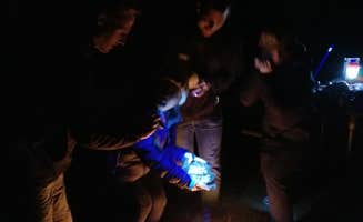 Michelle  W.'s photo at Sequim Bay State Park Campground near Carlsborg, WA