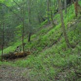 Review photo of Hickory Run State Park Campground by Amber A., July 1, 2016
