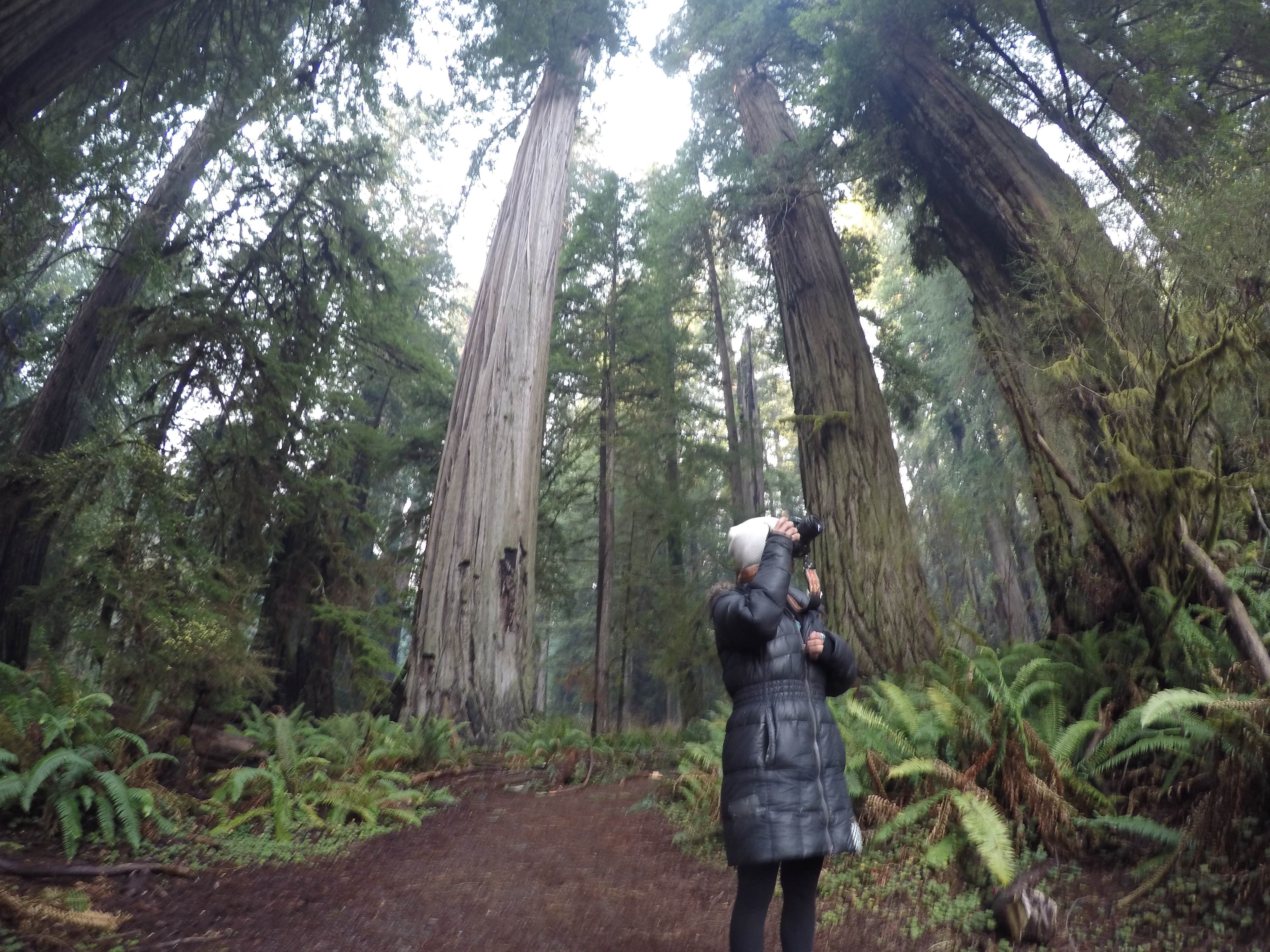 Camper-submitted photo at Redwood Bar Dispersed Camping near Smith River, CA