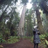Review photo of Redwood Bar Dispersed Camping by Daniel S., October 14, 2017