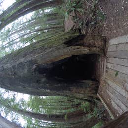 Redwood Bar Dispersed Camping
