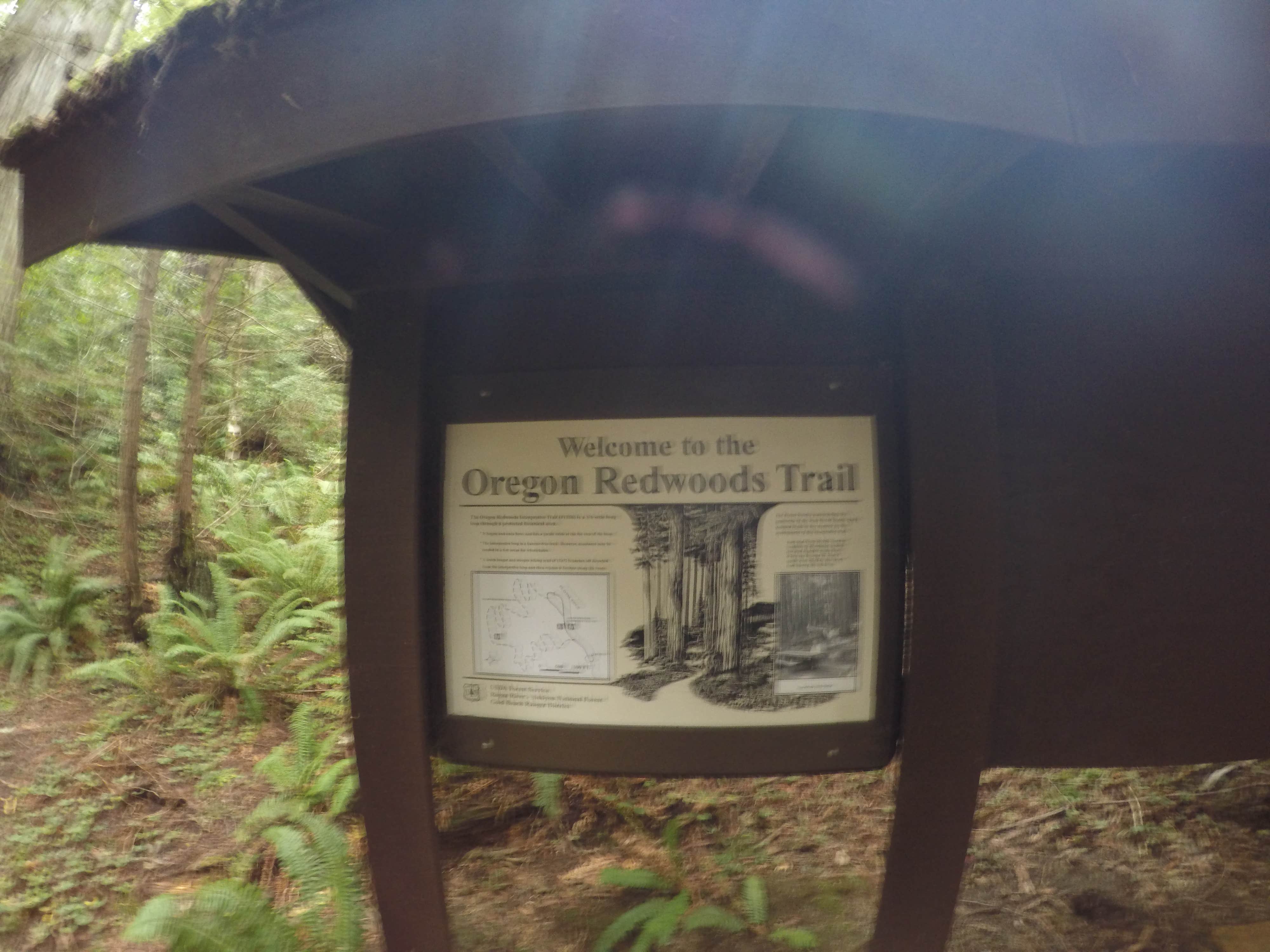 Camper-submitted photo at Redwood Bar Dispersed Camping near Smith River, CA