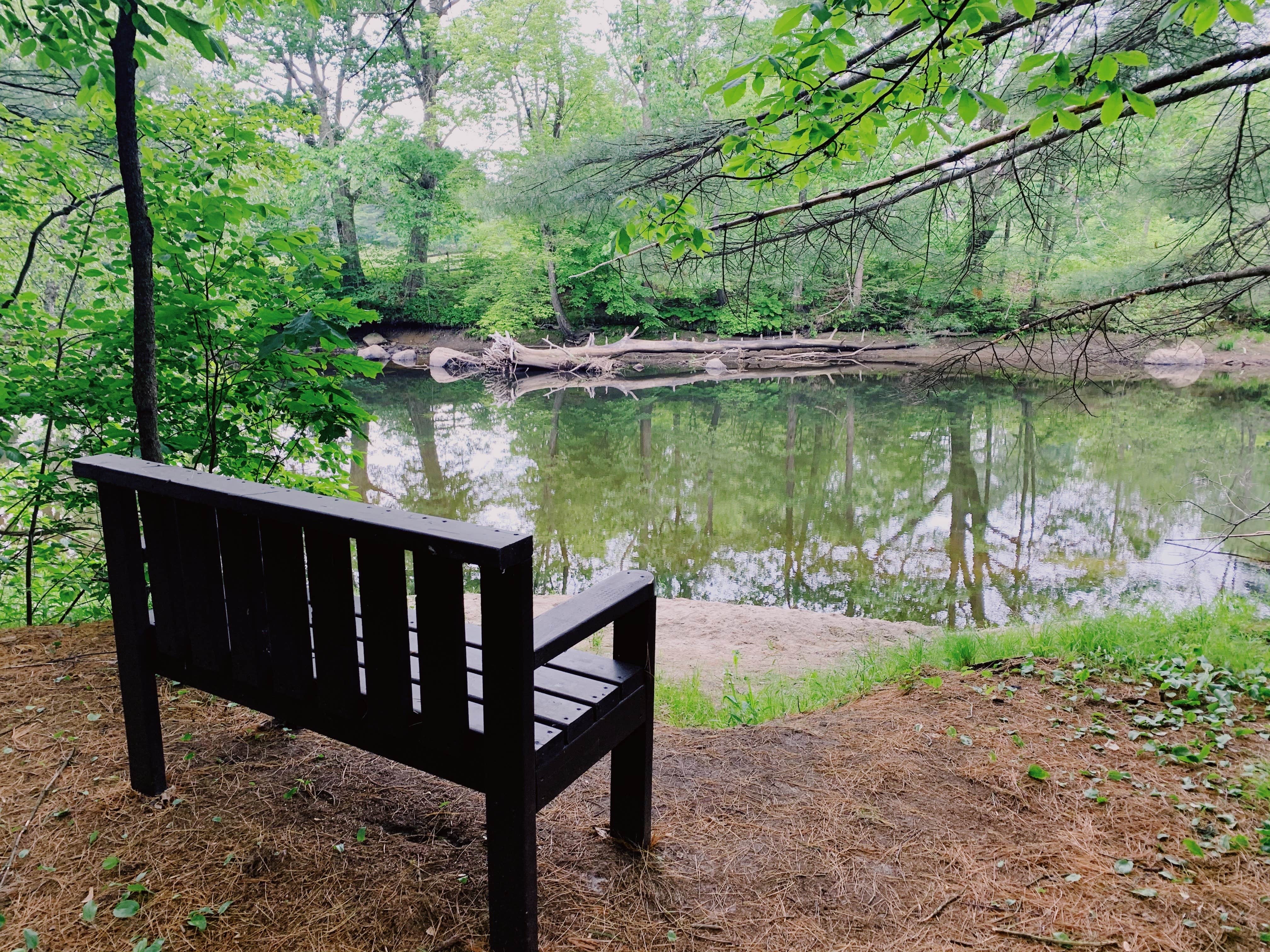 Deerfield - Photo 2