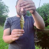 Review photo of Ashuelot River Campground by Mallory P., June 7, 2020