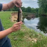 Review photo of Ashuelot River Campground by Mallory P., June 7, 2020