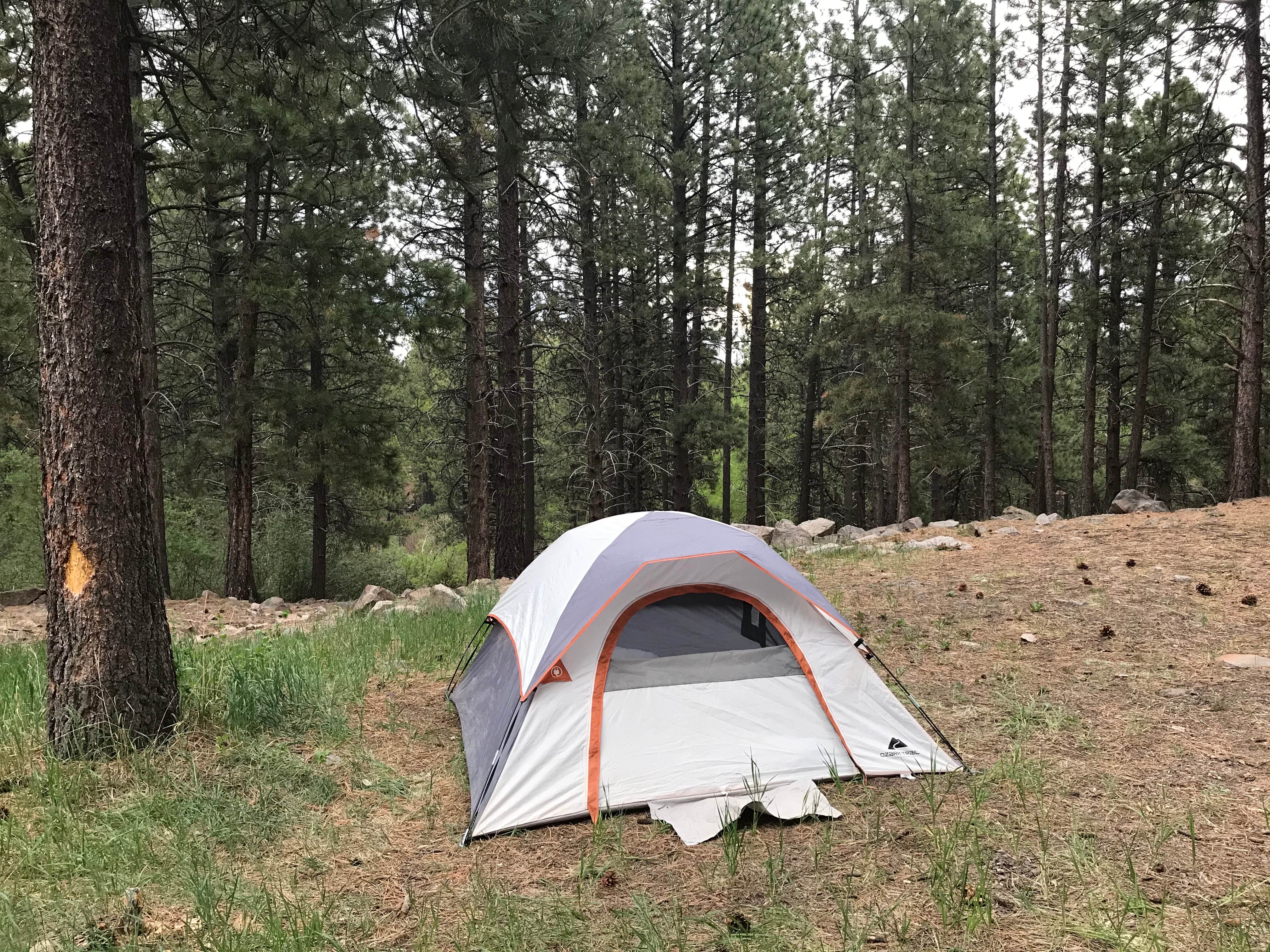 Camper-submitted photo at Lower Pleasant Creek Campground near Hanksville, UT