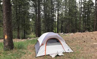 Robert  W.'s photo at Lower Pleasant Creek Campground near Capitol Reef National Park