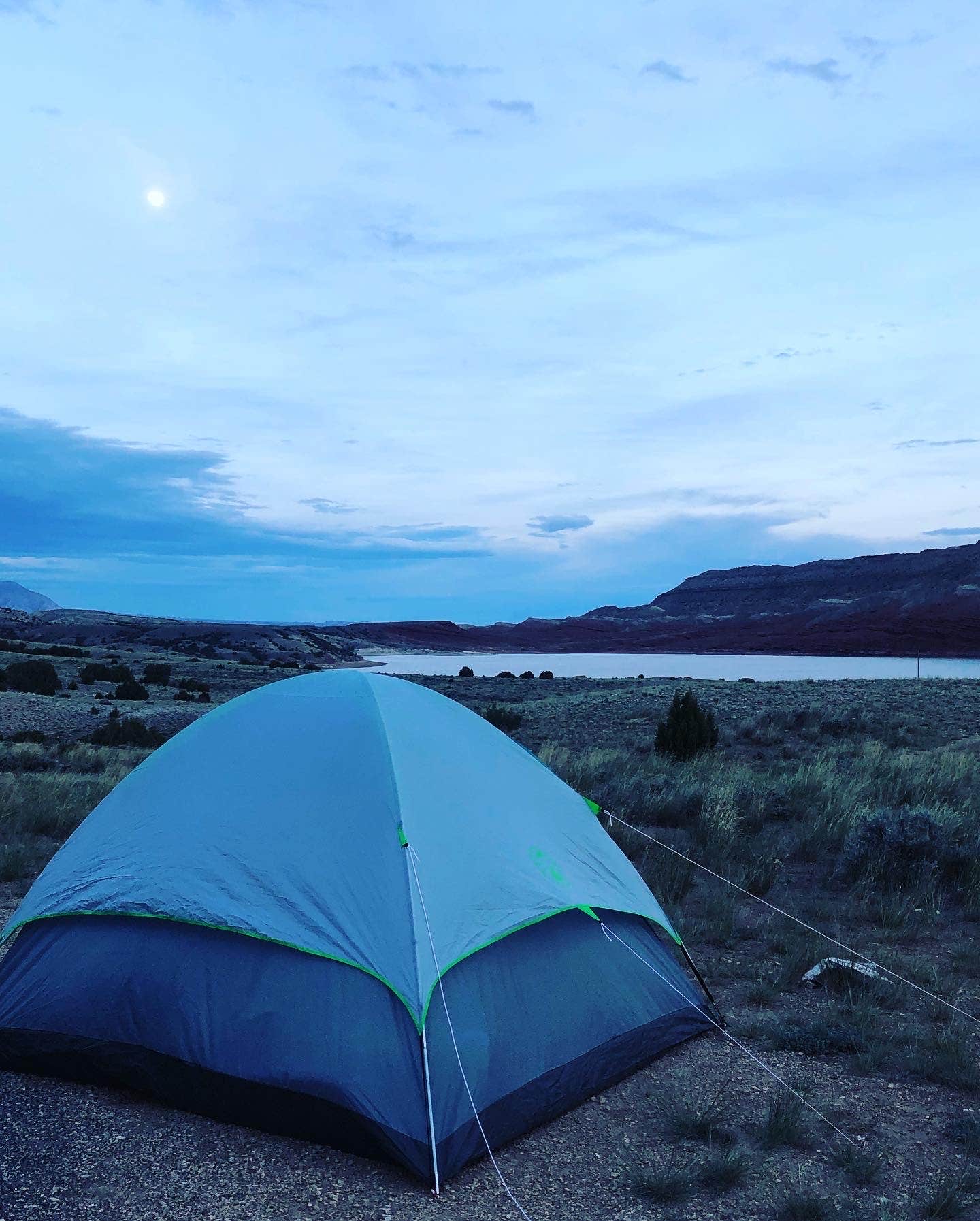 Courtney T.'s photo at Horseshoe Bend Campground near Pryor, MT