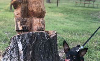 Courtney T.'s photo of camping with pets at Badlands / White River KOA near Badlands National Park