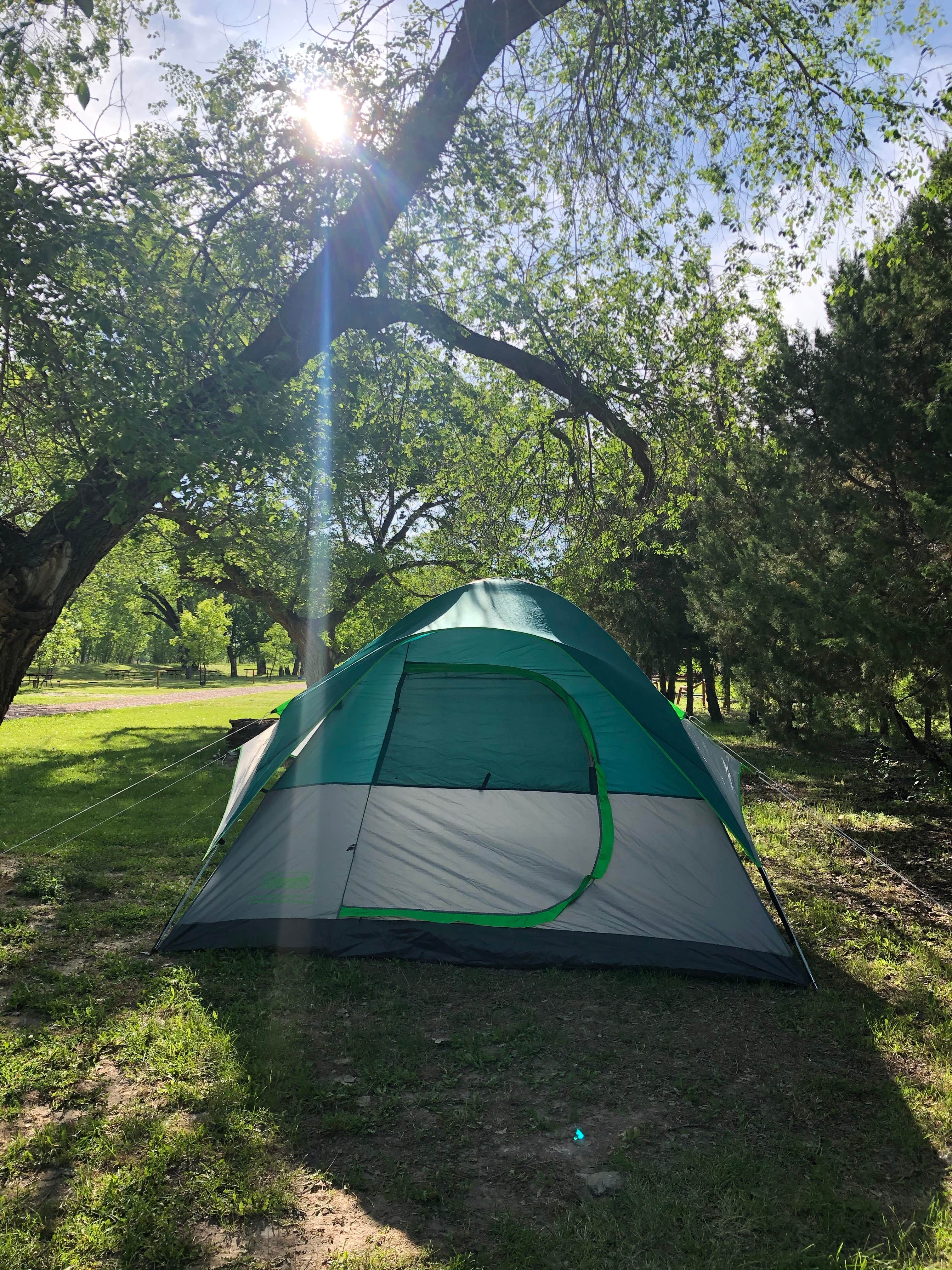 Courtney T.'s photo at Badlands / White River KOA near Wall, SD