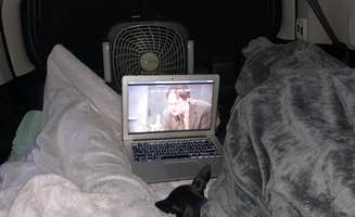 Courtney T.'s photo of camping with pets at Yellowstone Park-Mountainside KOA near West Yellowstone, MT