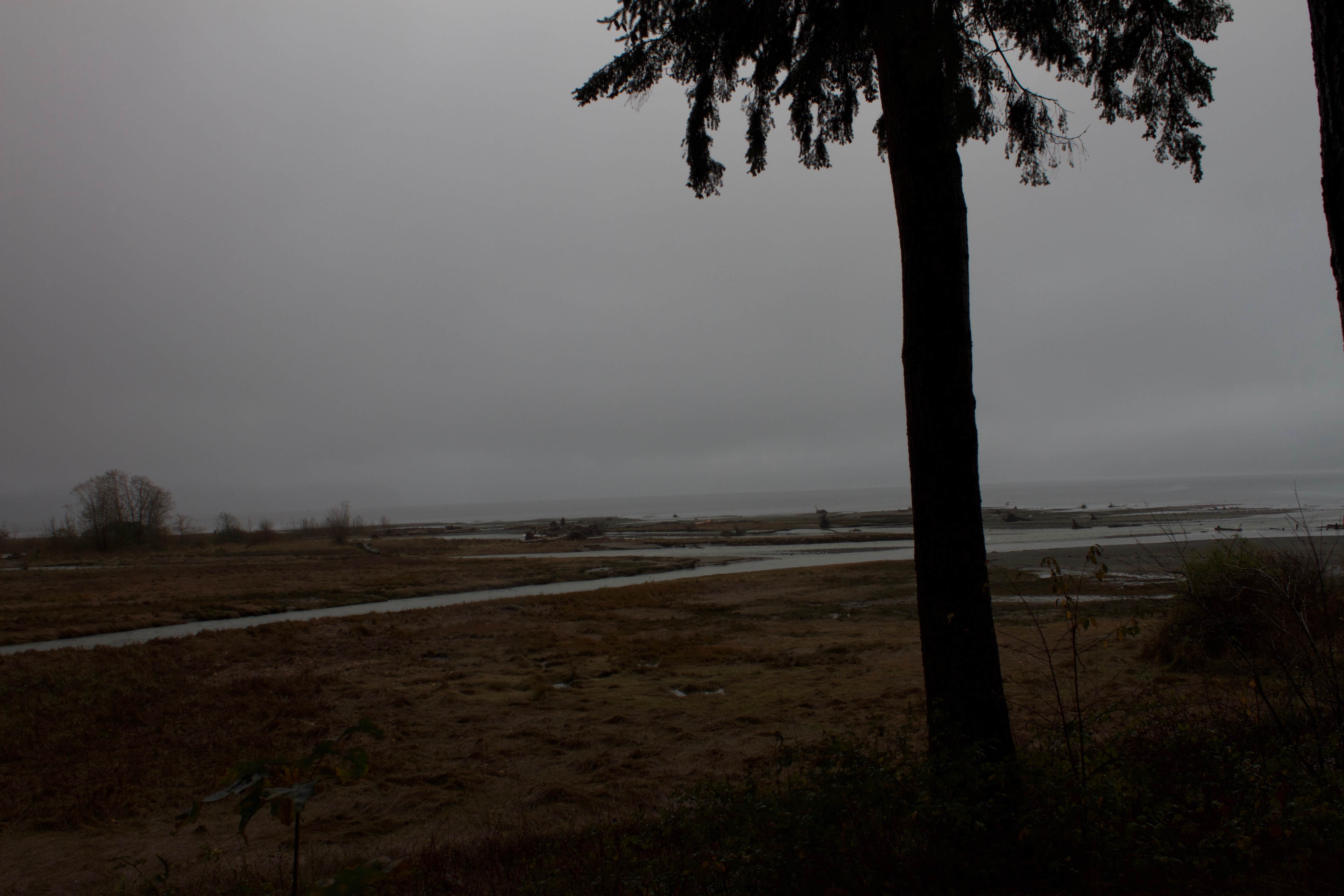 Camper-submitted photo at Dungeness Forks Campground near Sequim, WA