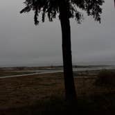 Review photo of Dungeness Forks Campground by Daniel S., October 14, 2017