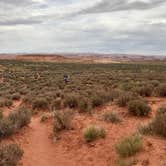 Review photo of Coyote Gulch — Glen Canyon National Recreation Area by Robert  W., June 7, 2020