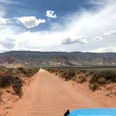 Review photo of Coyote Gulch — Glen Canyon National Recreation Area by Robert  W., June 7, 2020