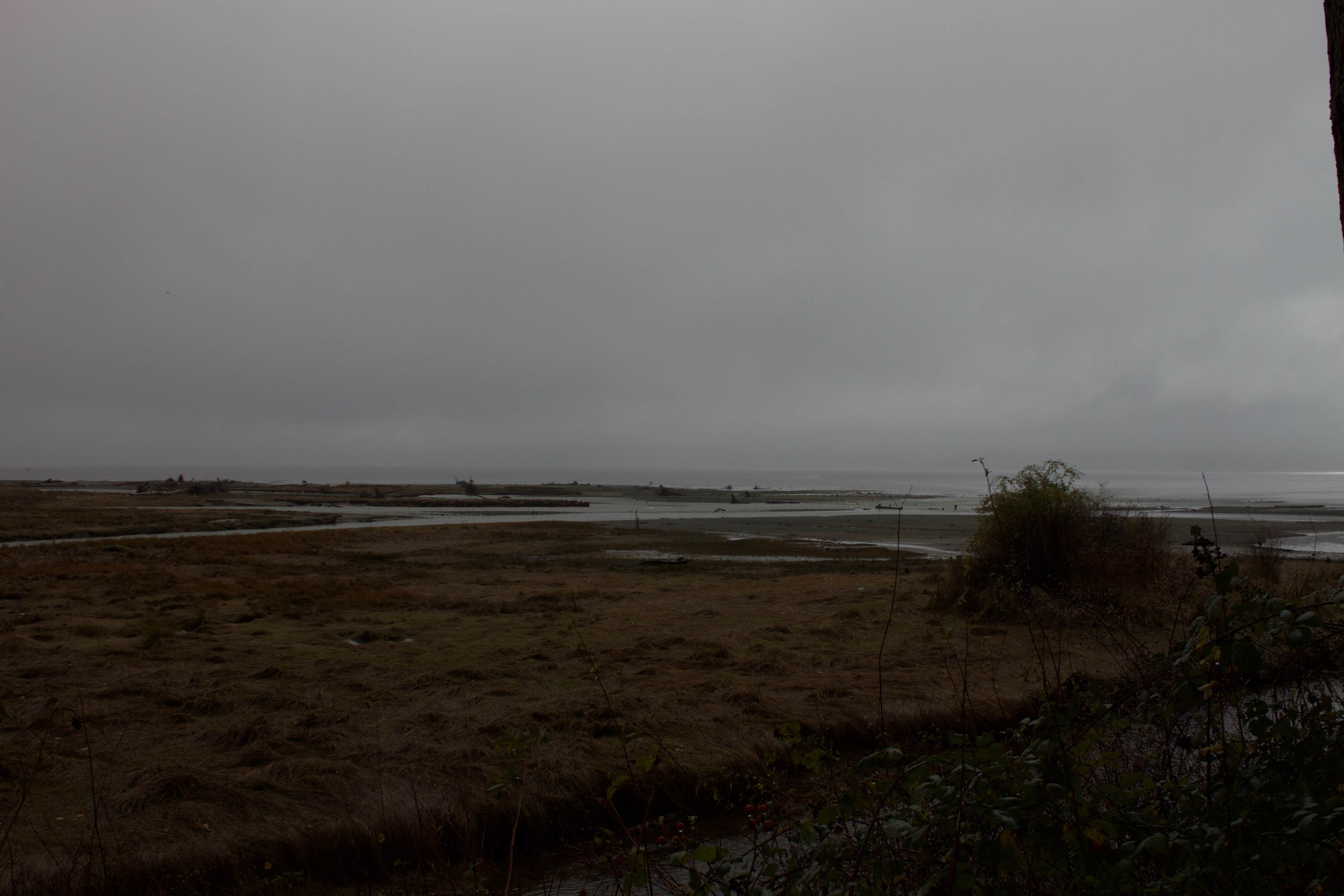 Camper-submitted photo at Dungeness Forks Campground near Sequim, WA