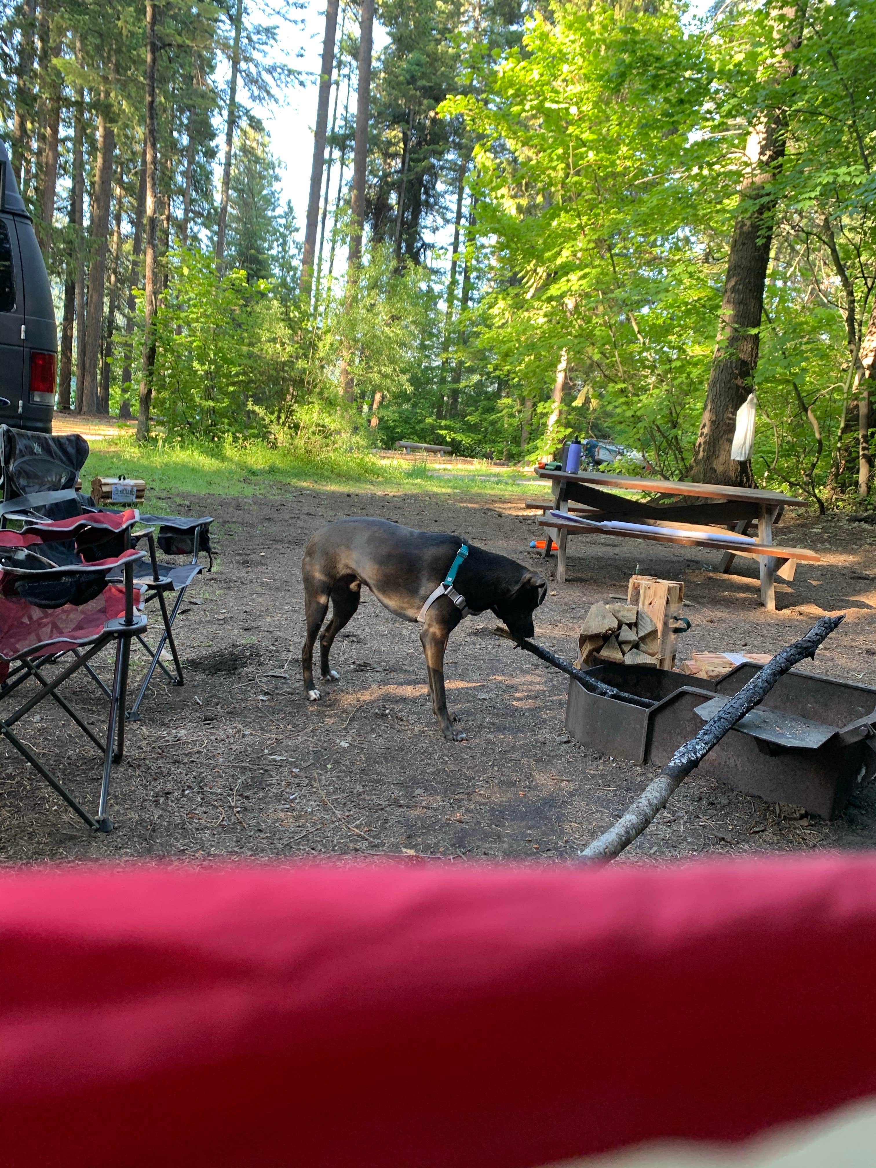 Camping near Old Forest Service Campground — Lake Wenatchee: Cove Resort at Fish Lake, Leavenworth, Washington
