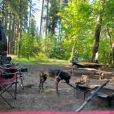 Review photo of Cove Resort at Fish Lake by Katelyn B., June 7, 2020