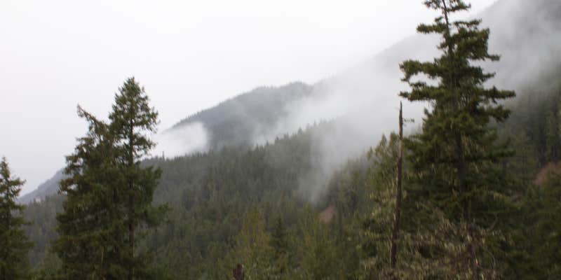 Camper submitted image from Dungeness Forks Campground