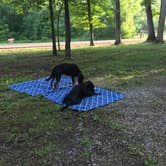 Review photo of A.W. Marion State Park Campground by Shannon G., June 7, 2020