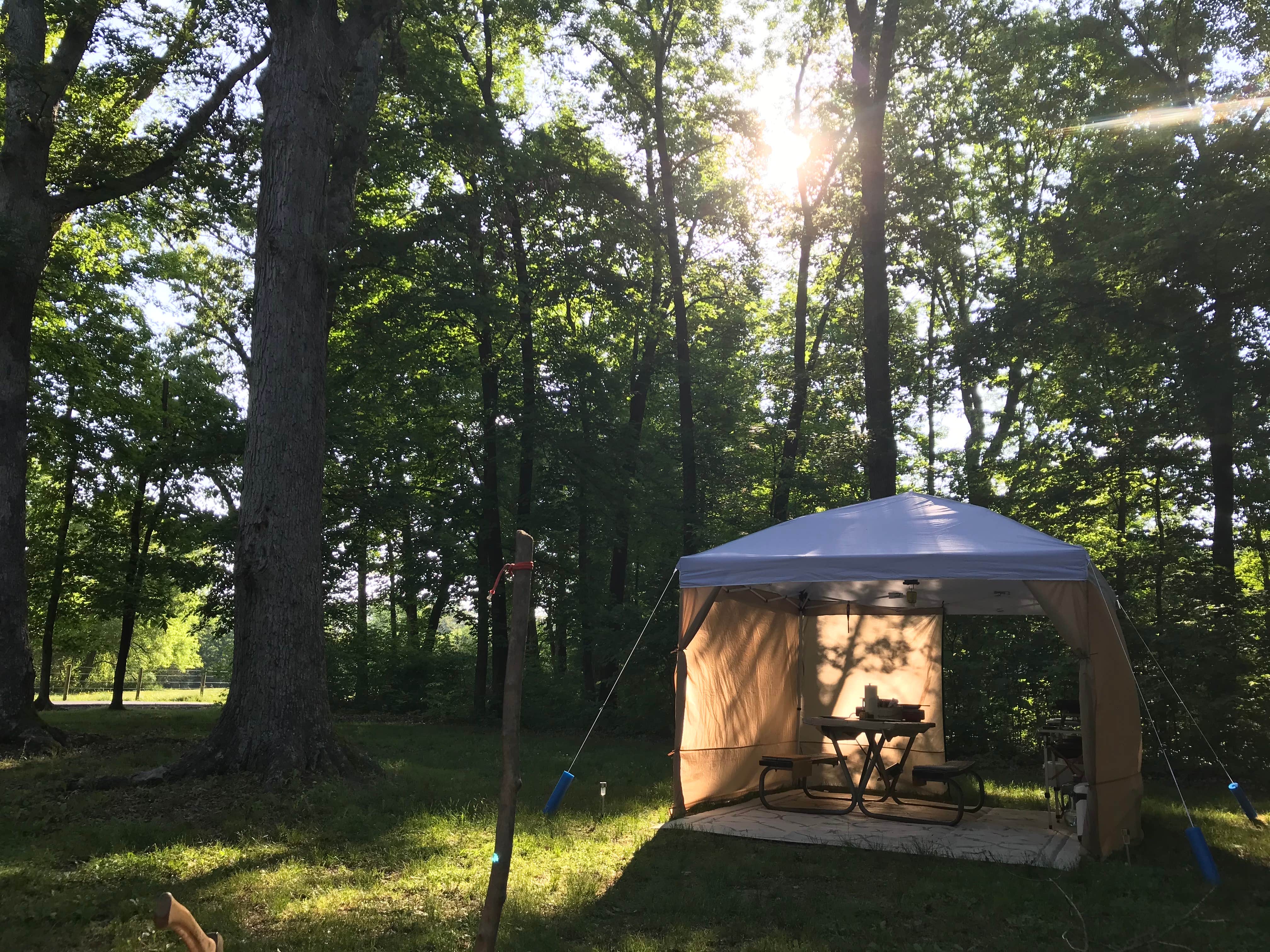 Shannon G.'s photo at A.W. Marion State Park Campground near Columbus, OH