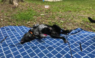 Shannon G.'s photo at A.W. Marion State Park Campground near Deer Creek Lake