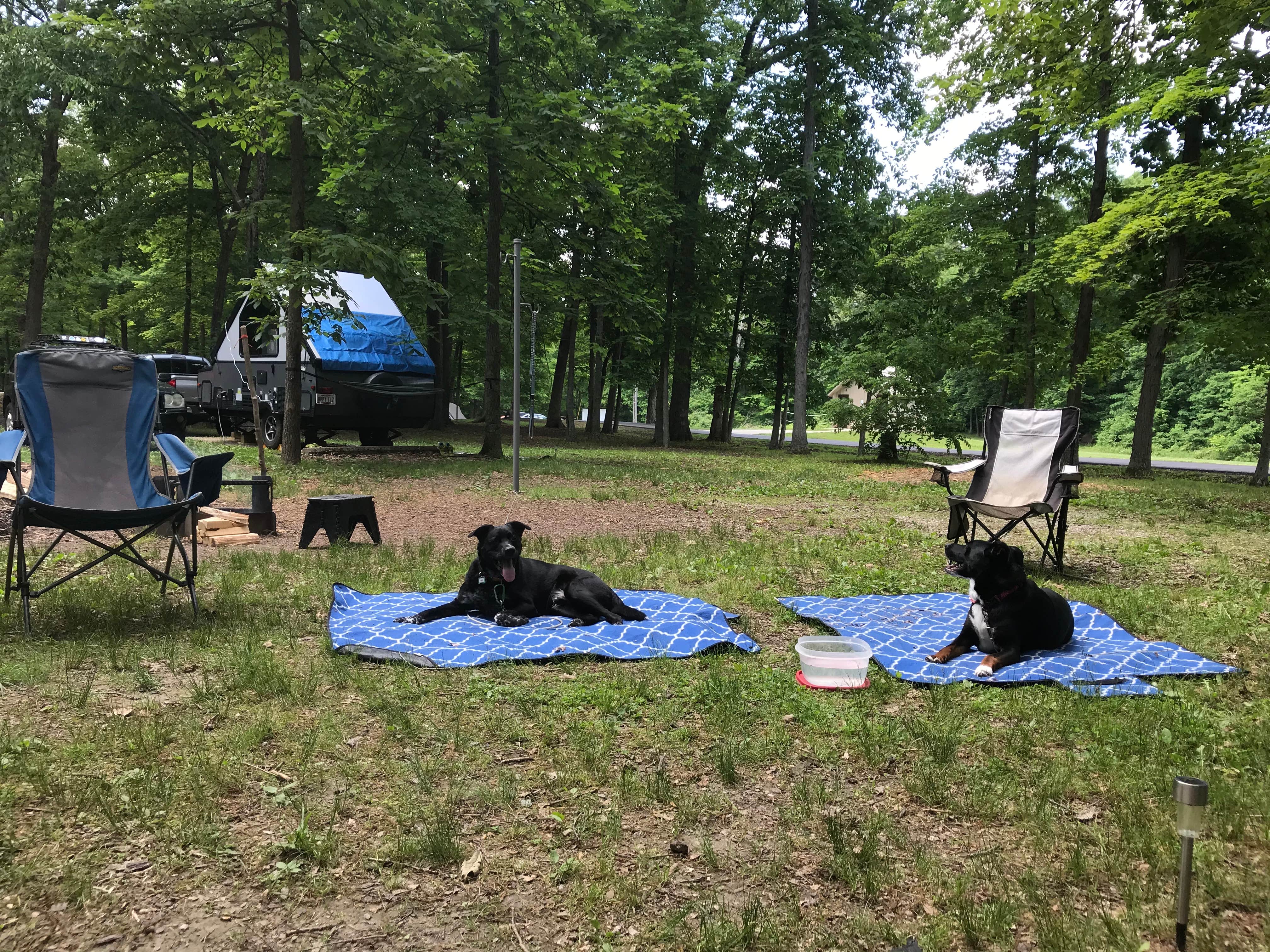Shannon G.'s photo at A.W. Marion State Park Campground near Hilliard, OH