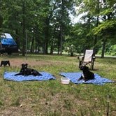 Review photo of A.W. Marion State Park Campground by Shannon G., June 7, 2020