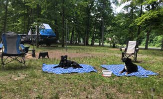 Shannon G.'s photo at A.W. Marion State Park Campground near Galloway, OH
