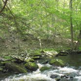 Review photo of Hickory Run State Park Campground by Amber A., July 1, 2016