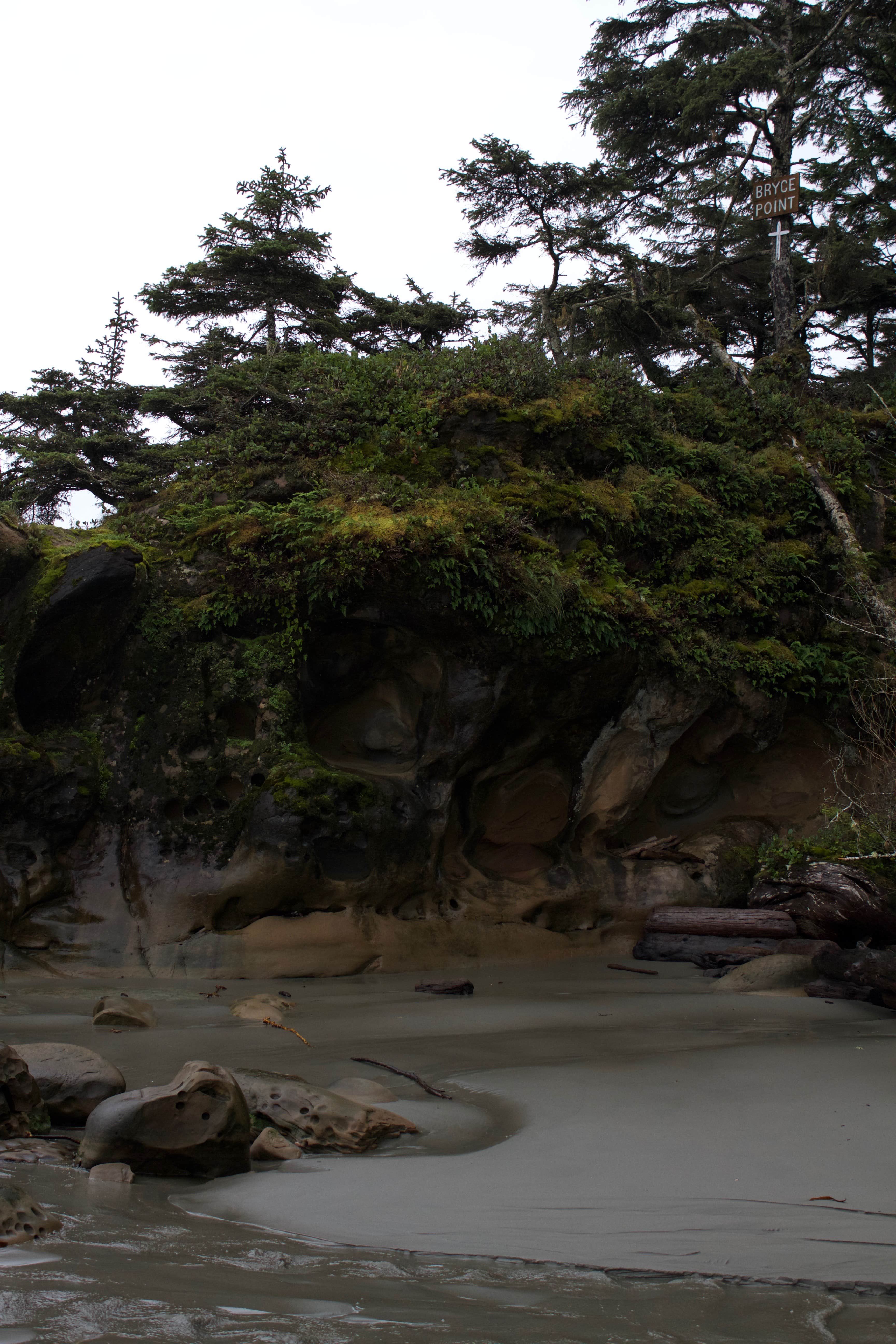 Camper-submitted photo at Dungeness Forks Campground near Sequim, WA